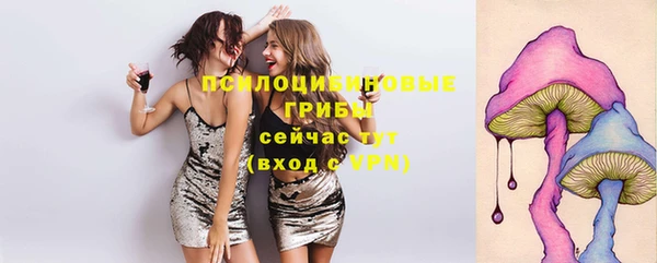 Альфа ПВП Алексин