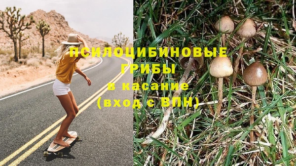 Альфа ПВП Алексин