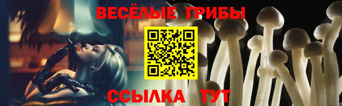Светлоград  Галлюциногенные грибы GOLDEN TEACHER  Вход с VPN 